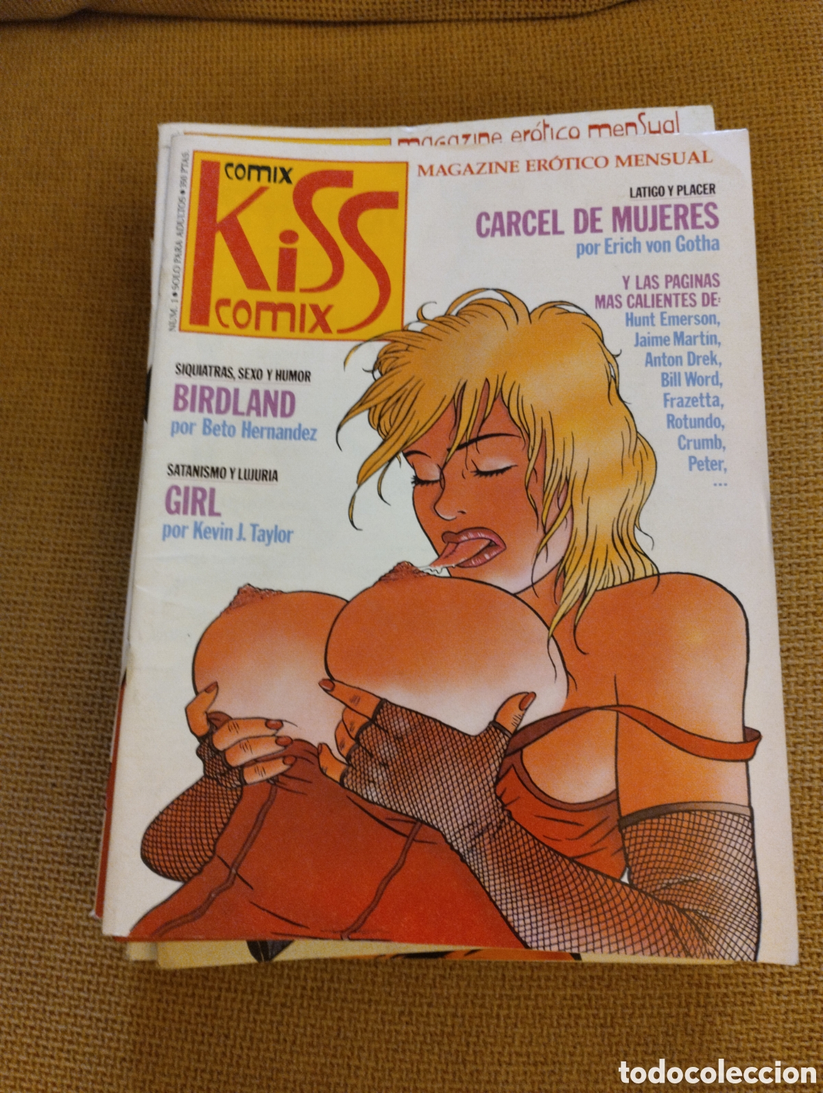 C&oacute;mics: Lote Primeros 20 N&uacute;meros Kiss Comix