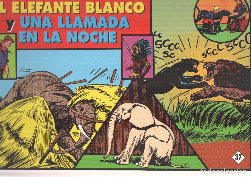 Comics: Tim Tyler's Luck: Jorge y Fernando numero 37: Tiras diarias del 17.2.1936 al 4.4.1936 - Lyman Young