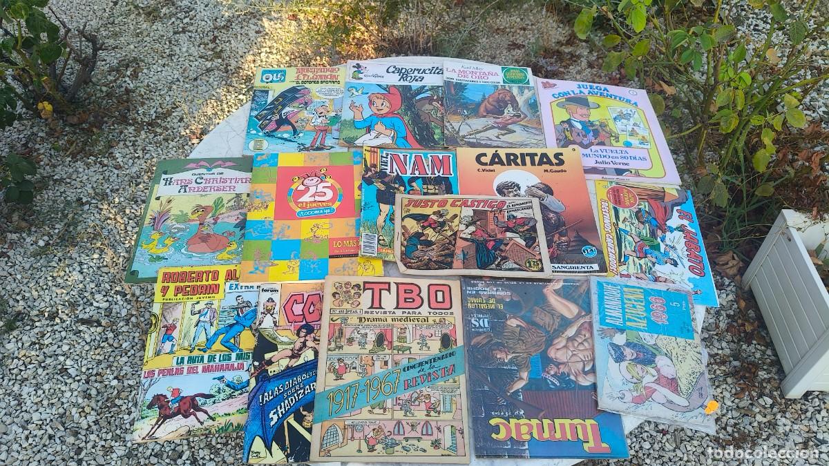 C&oacute;mics: Lot de 15 comics collection