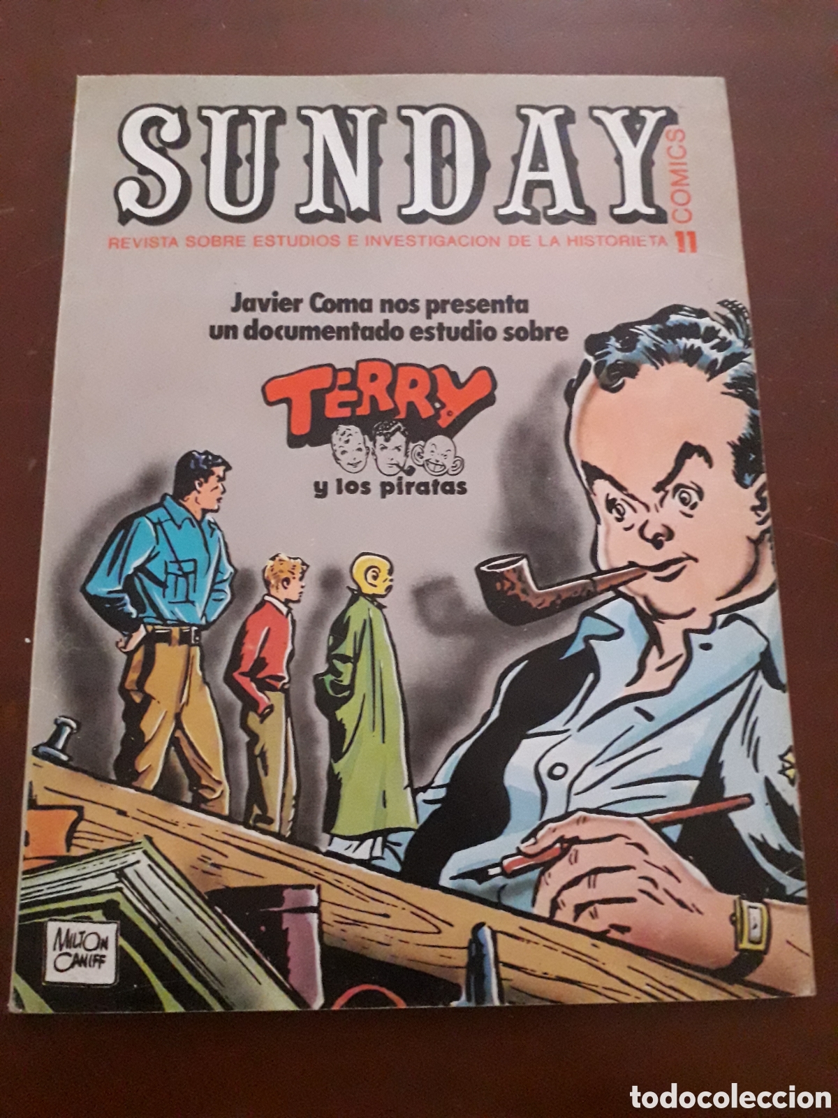 C&oacute;mics: SUNDAY COMICS TOMO 11. EXCELENTE ESTADO
