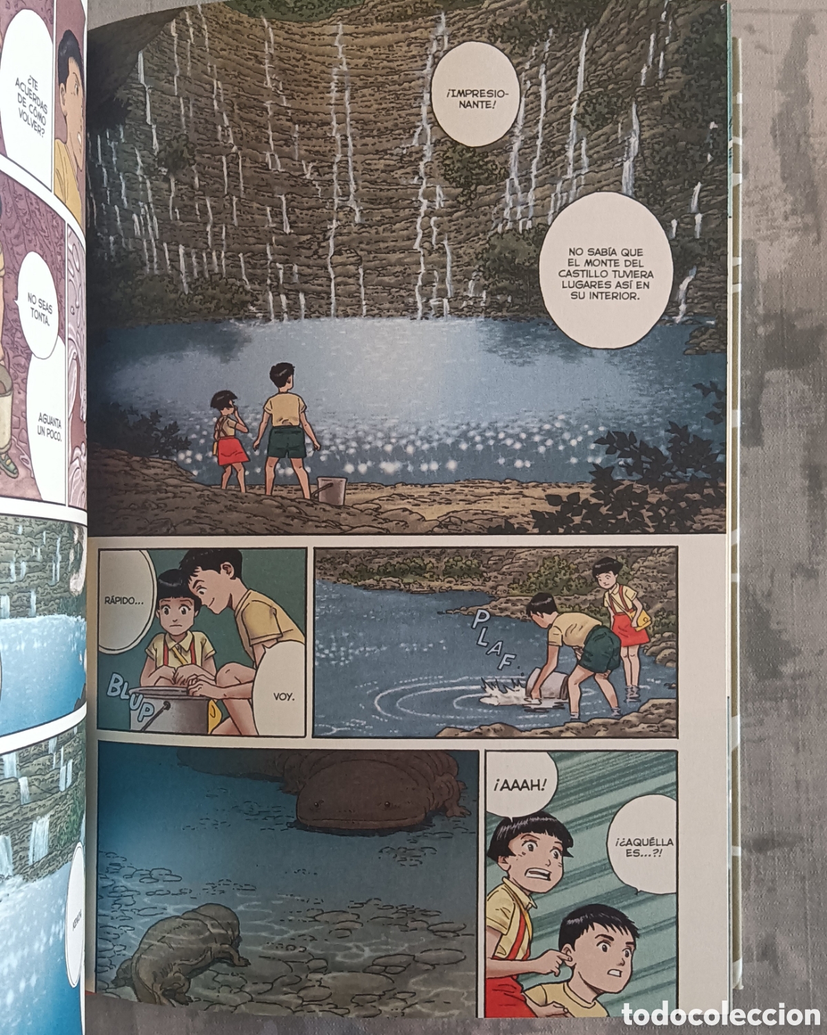 C&oacute;mics: Taniguchi, Jiro - La Monta&ntilde;a M&aacute;gica - Foto 5