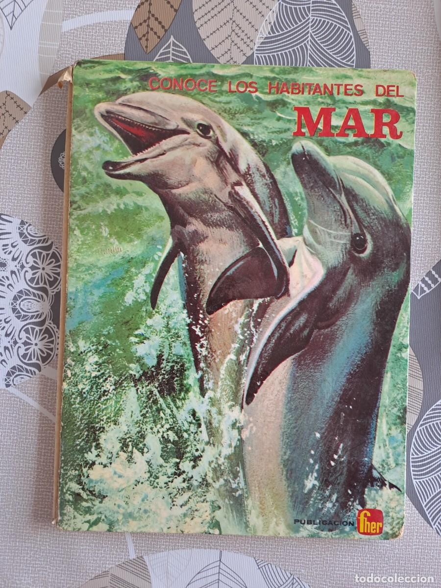 C&oacute;mics: Conoce los habitantes del mar, Fher Bolsa DA