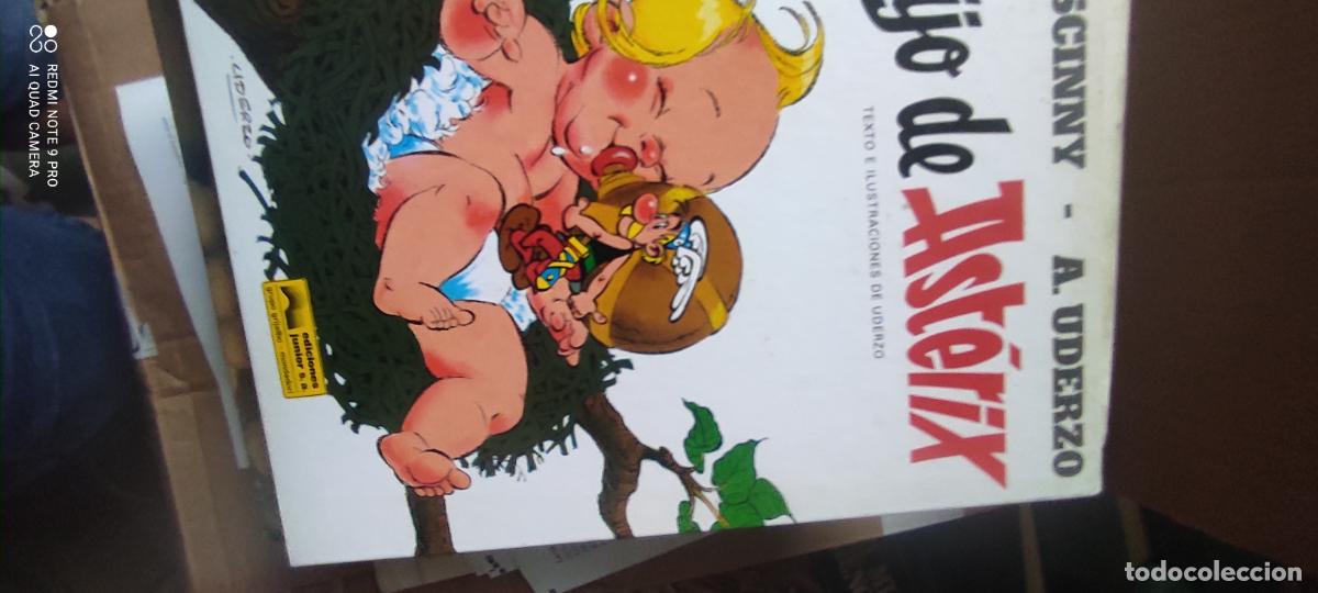 C&oacute;mics: El hijo de Ast&eacute;rix..
