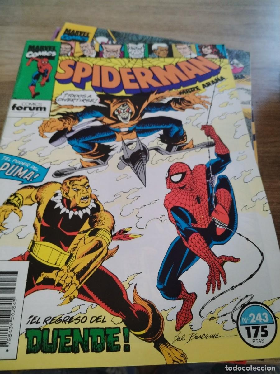 C&oacute;mics: COMIC FORUM SPIDERMAN N 243
