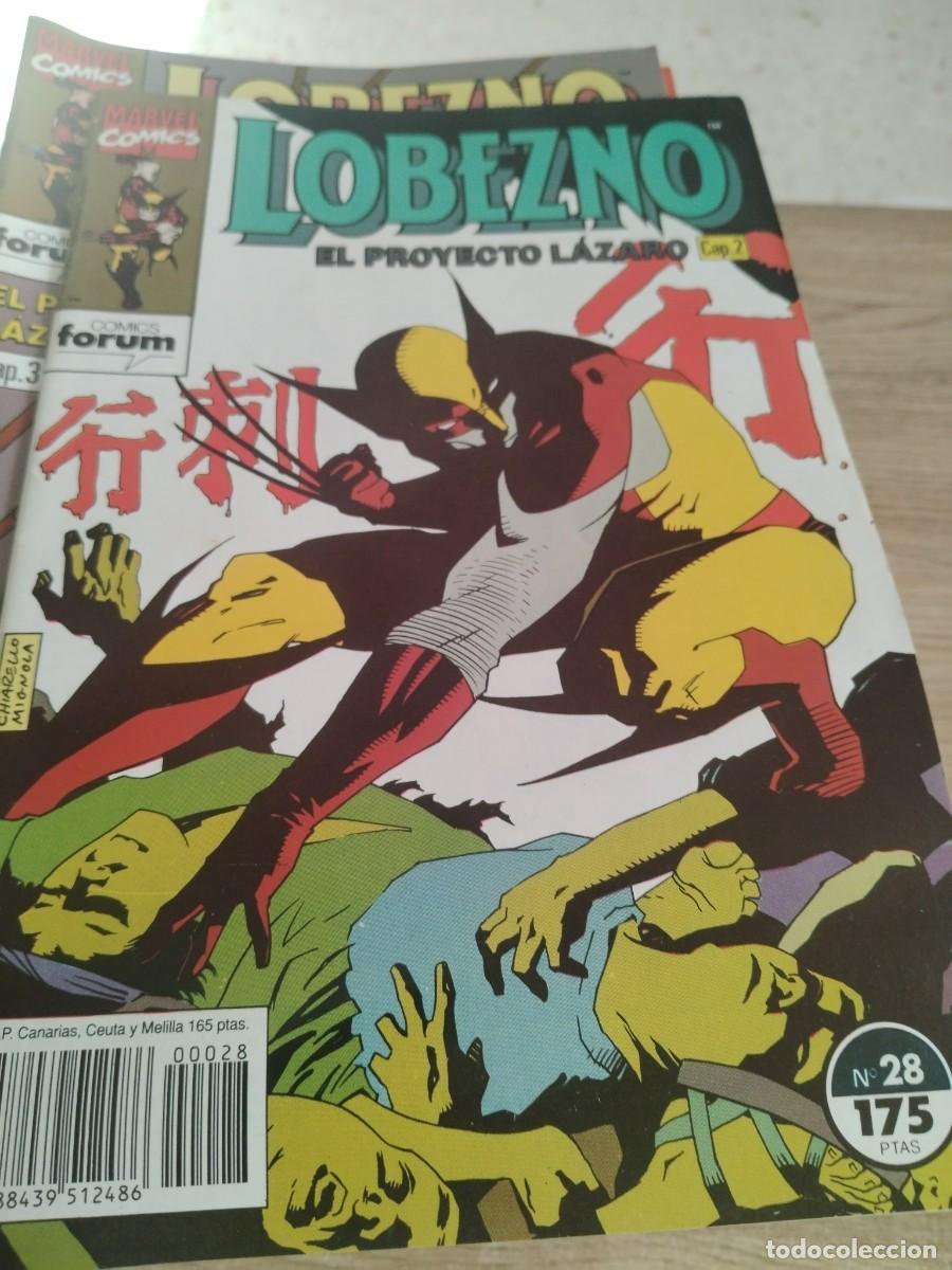 C&oacute;mics: COMIC FORUM LOBEZNO N 28