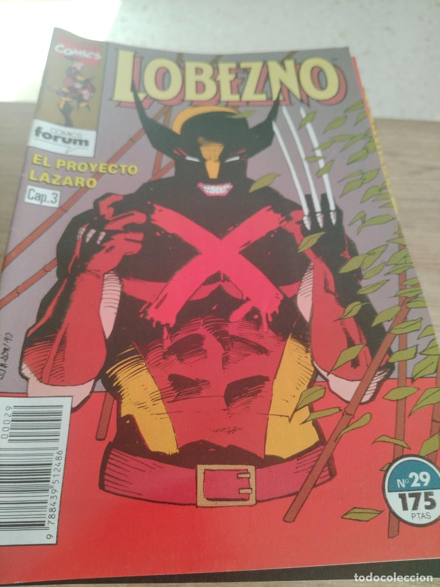 C&oacute;mics: COMIC FORUM LOBEZNO N 29