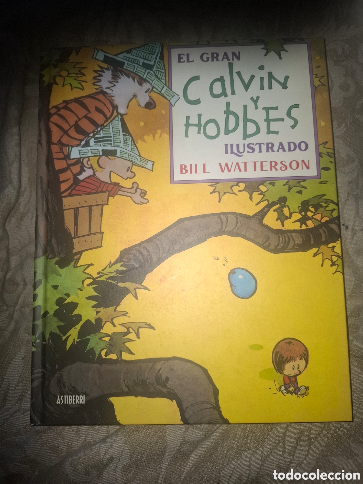 C&oacute;mics: El Gran Calvin Y Hobbes Ilustrado. Bill Watterson. Ed Astiberri. Tapa dura. Buen estado