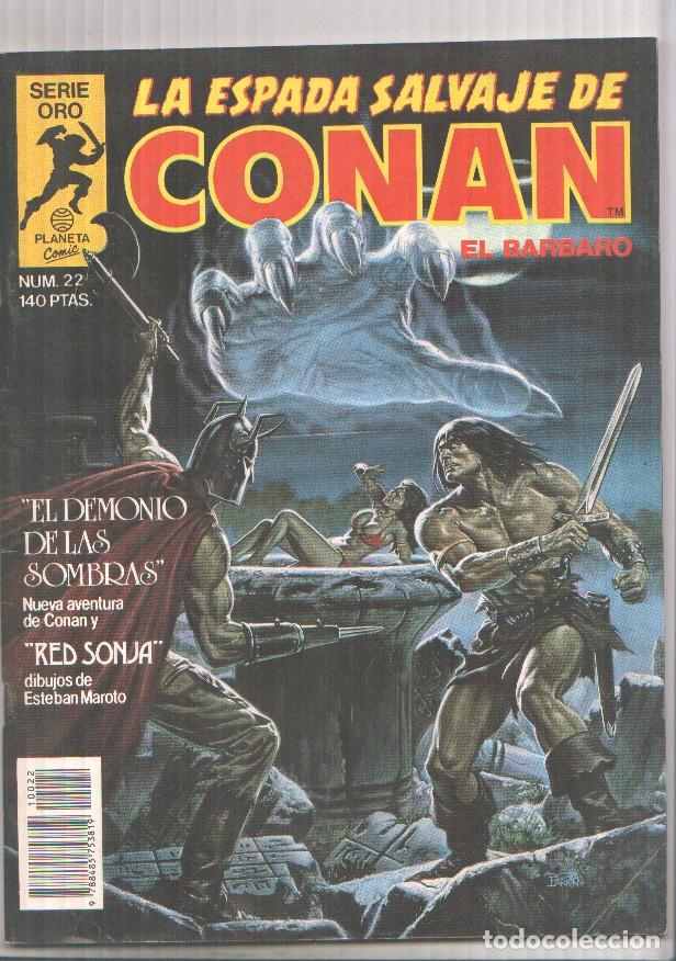C&oacute;mics: La Espada Salvaje de Conan 1&ordf; edicion numero 22: El demonio de las sombras - varios