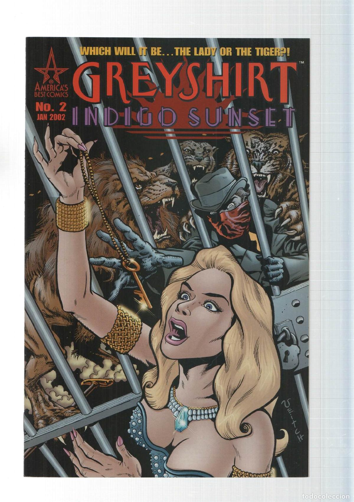 C&oacute;mics: America Best Comics: Greyshirt Indigo Sunset num 2 - Jail Bait
