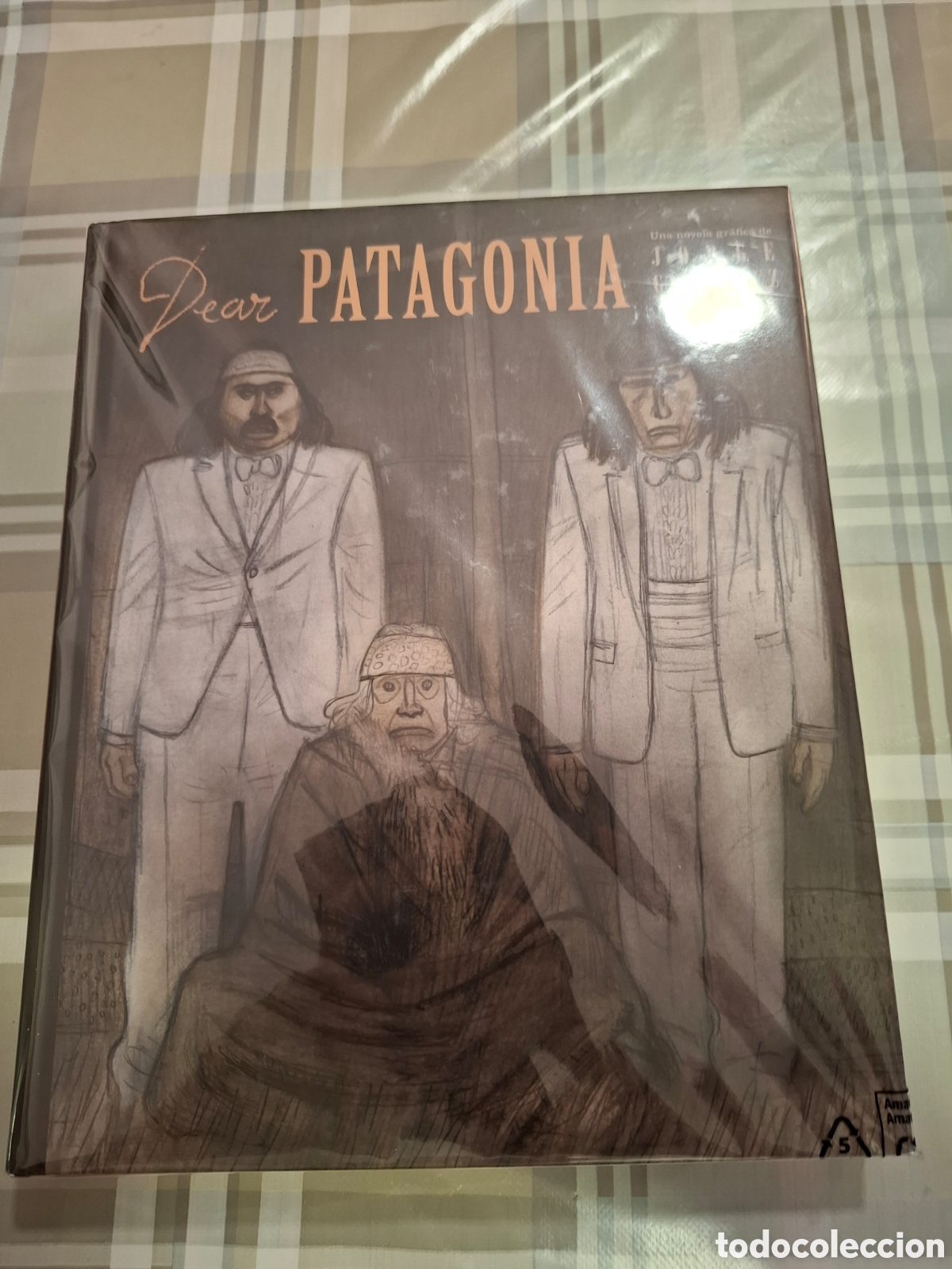 C&oacute;mics: Dear Patagonia de Jorge Gonzalez editorial Sins Entido