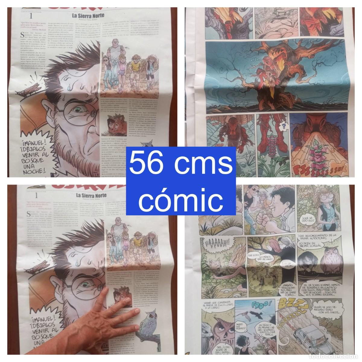 C&oacute;mics: COMIC 56 CMS OSINVITO N&ordm; 1 LA SIERRA NORTE SEVILLA FRANCISCO NU&Ntilde;EZ ROLDAN 24PGS RARISIMO