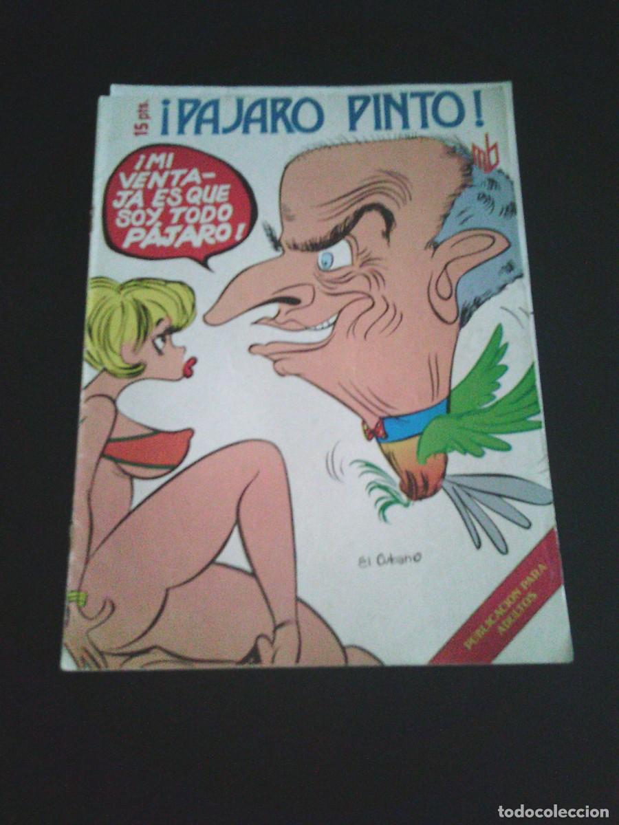 C&oacute;mics: PAJARO PINTO - EDITA MARC BEN SA -CJ 253