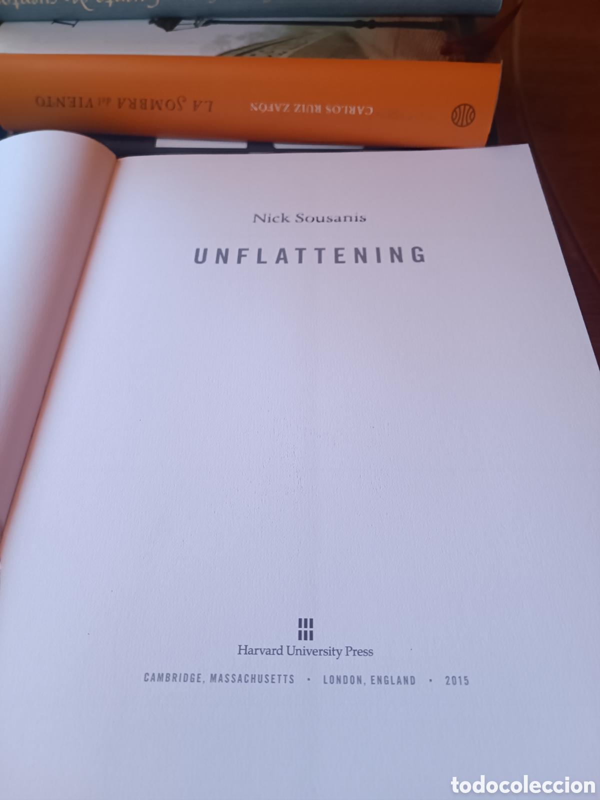 C&oacute;mics: Nick Sousanis Unflattening Harvard university press 2015 en ingl&eacute;s comic - Foto 3