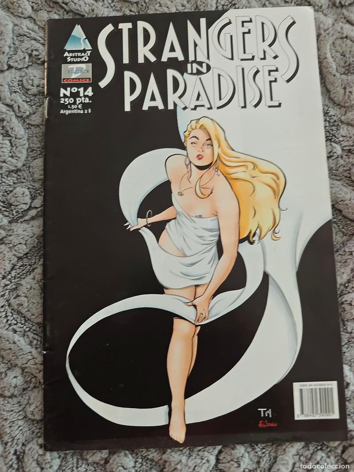 C&oacute;mics: Strangers in Paradise n&ordm; 14 - Abstract Studio / Dude Comics - Terry Moore