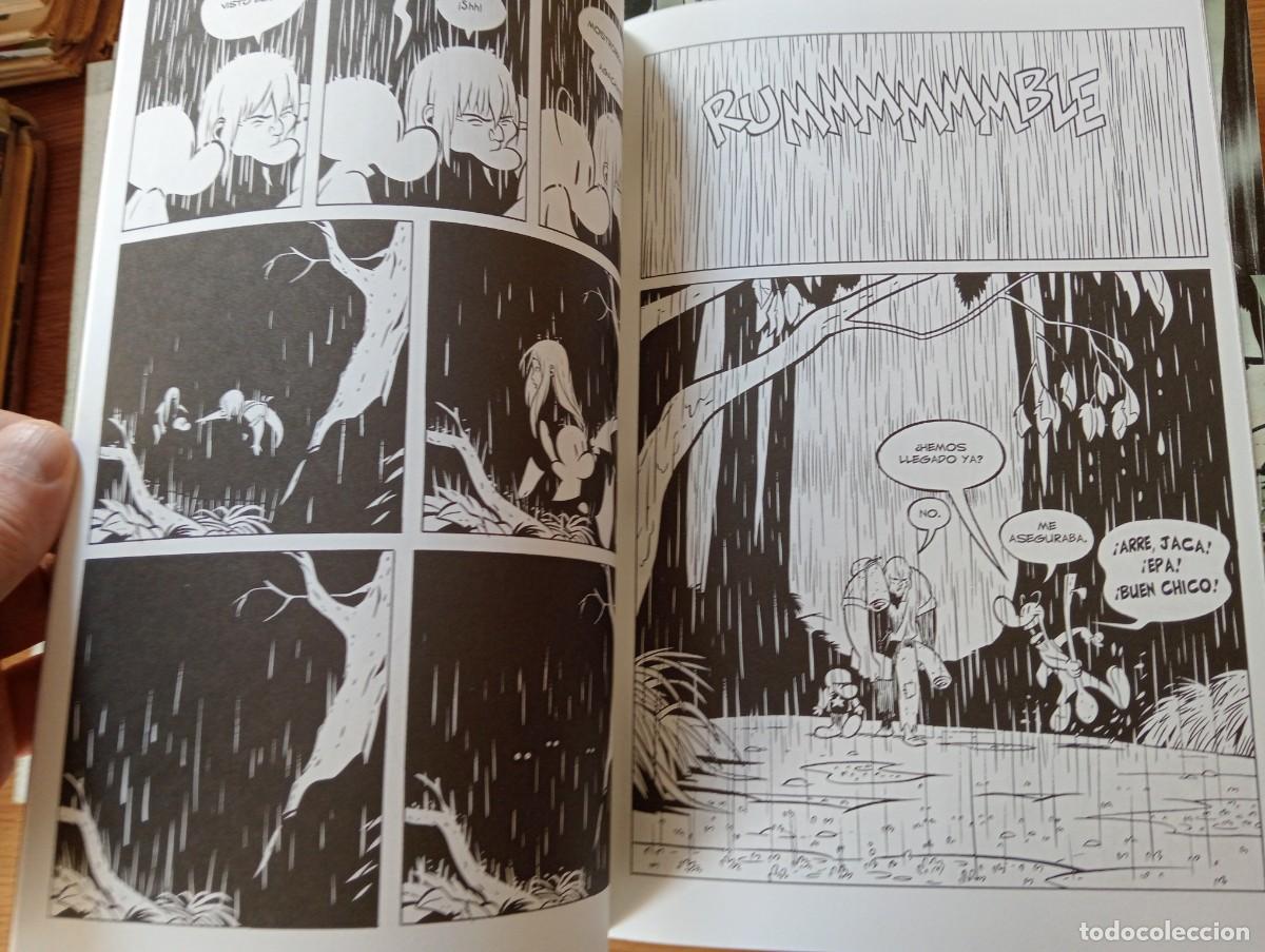 C&oacute;mics: LOTE CON 34 EJEMPLARES DE BONE (DE 46). GRAPA. DUDE C&Oacute;MICS. 1998 &ndash; 2003. - Foto 25