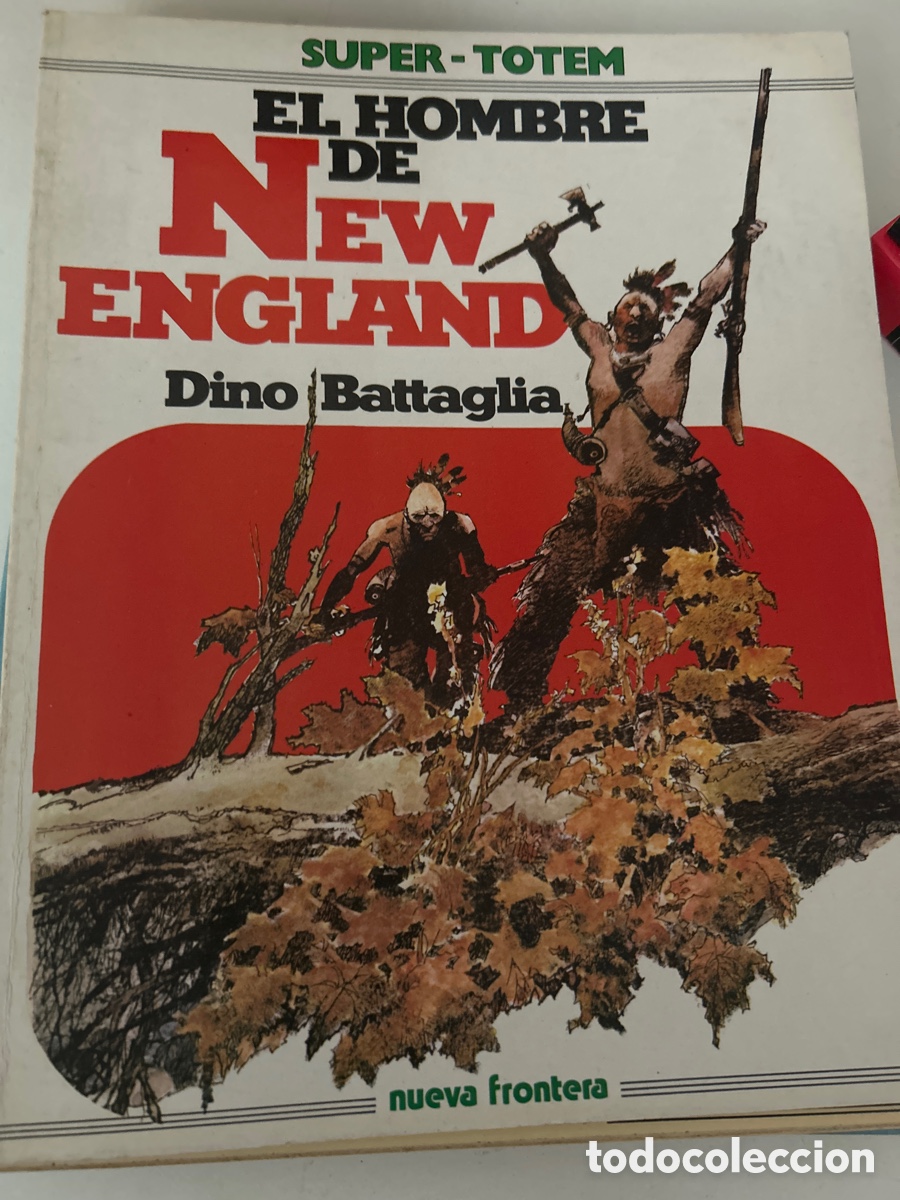 C&oacute;mics: Super-totem: el hombre de New England por Dino Battaglia