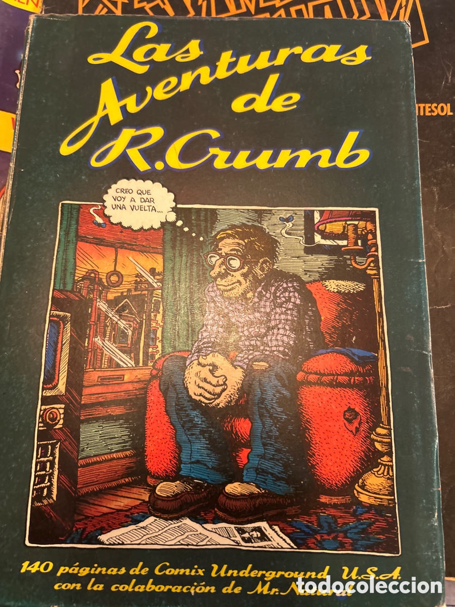C&oacute;mics: Las aventuras de R.Crumb. Comic