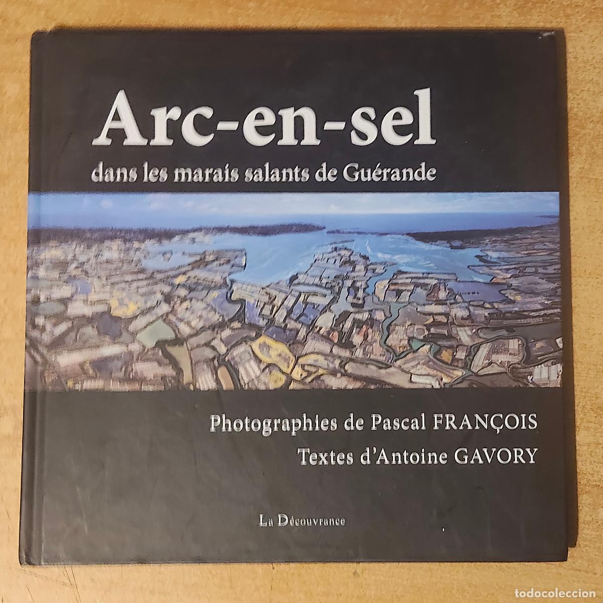 C&oacute;mics: Arc-en-sel, dans les marais salants de Gu&eacute;rande, publicado en 2014 por la editorial La D&eacute;couvrance