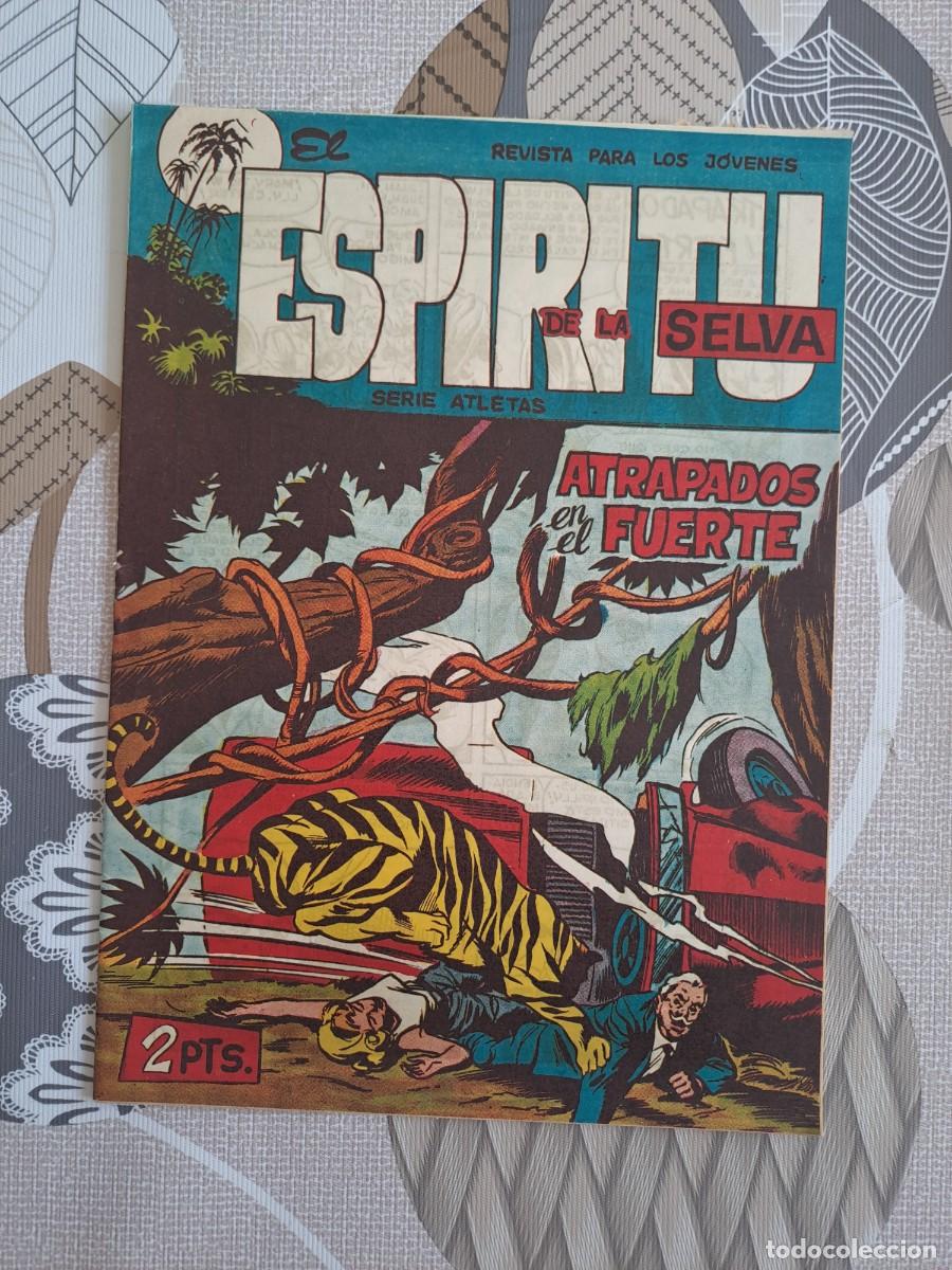 C&oacute;mics: El esp&iacute;ritu de la selva 61, Maga en buen estado