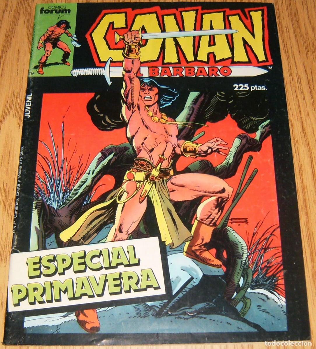C&oacute;mics: CONAN EL BARBARO . ESPECIAL PRIMERA 1986 . FORUM - Foto 1