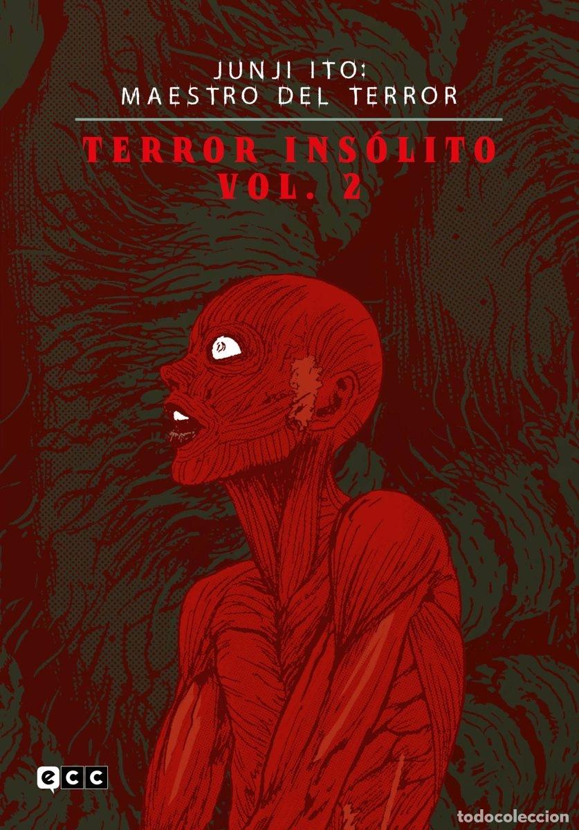 C&oacute;mics: JUNJI ITO M DEL T- TERROR INS&Oacute;LITO VOL. 2 DE 3 - ECC Ediciones - Foto 1