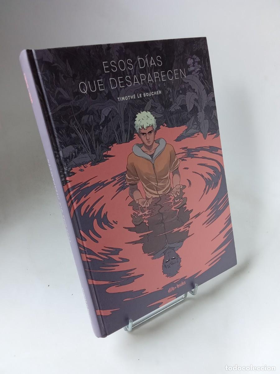 C&oacute;mics: Timothe Le Boucher. Esos d&iacute;as que desaparecen - Foto 1