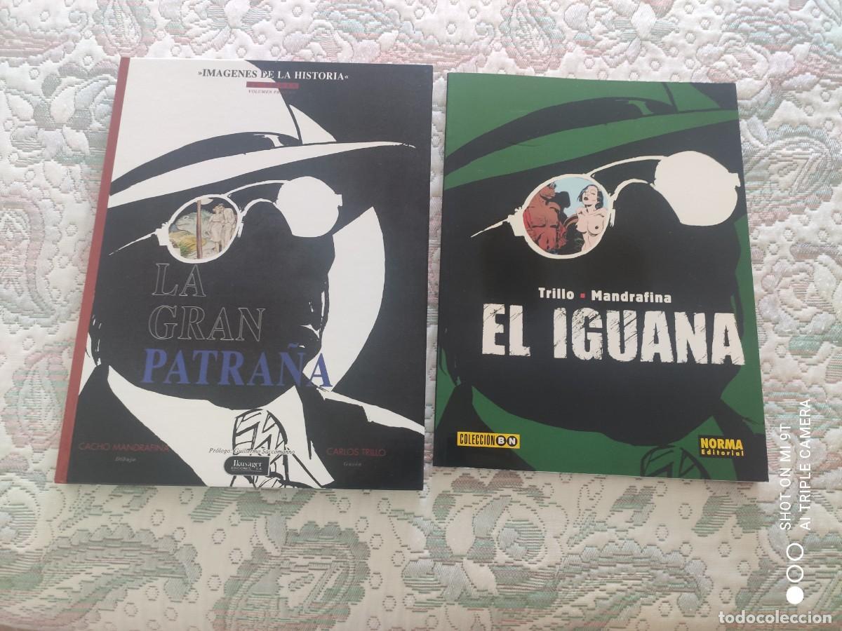 C&oacute;mics: LA GRAN PATRA&Ntilde;A (IKUSAGER) Y EL IGUANA (NORMA), DE CARLOS TRILLO Y CACHO MANDRAFINA