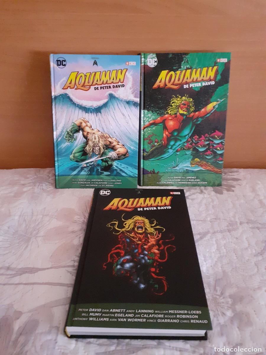 C&oacute;mics: AQUAMAN DE PETER DAVID COMPLETA - Foto 1
