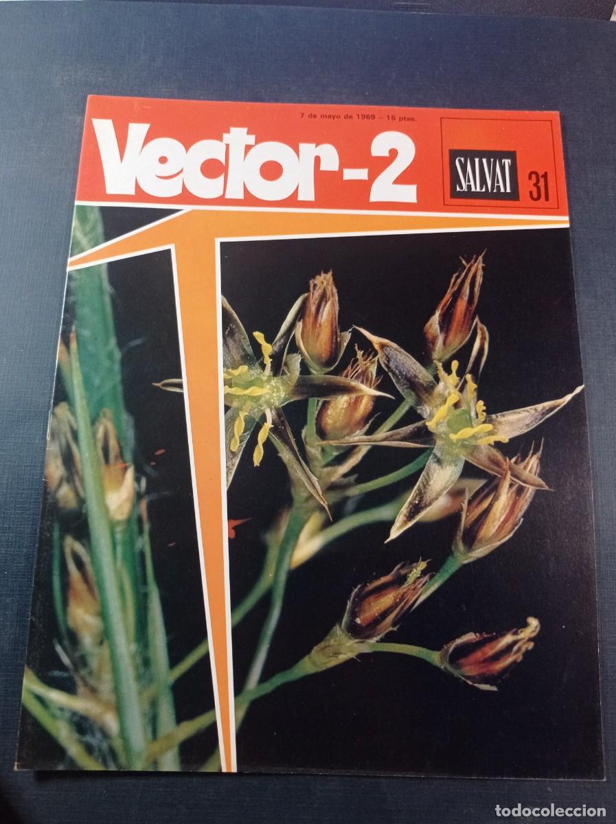 C&oacute;mics: VECTOR 2, FASC&Iacute;CULO N&ordm; 31. ENCICLOPEDIA PEDAG&Oacute;GICA. SALVAT, 1969. EL PA&Iacute;S DE SORANG POR ENRIC SI&Oacute; ++