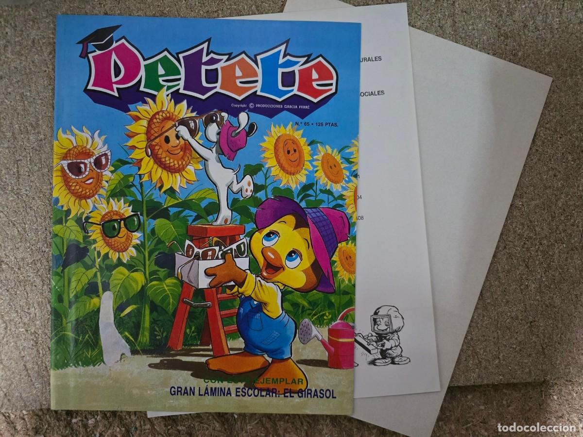 Comics: Revista Petete 65.Gran Lamina escolar El Girasol.Editorial P.T.T.