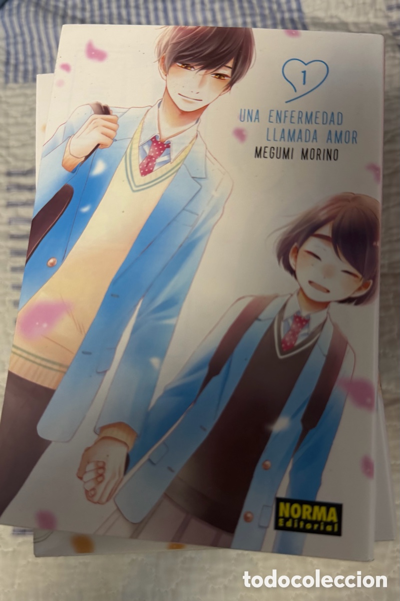 Comics: Manga una enfermedad llamada amor 1 al 17
