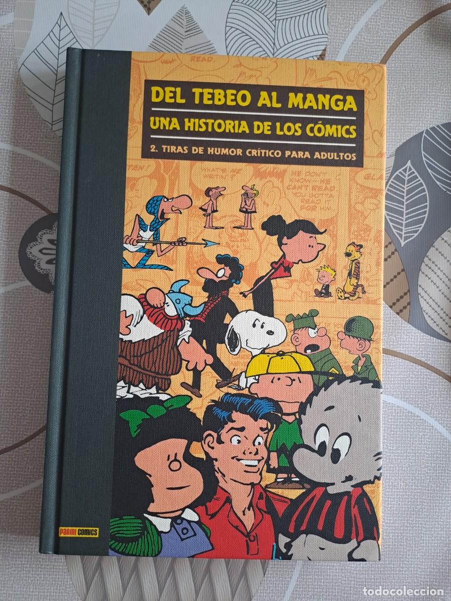 C&oacute;mics: Del tebeo al manga, una historia de los comics 2, Panini en buen estado Bolsa DA