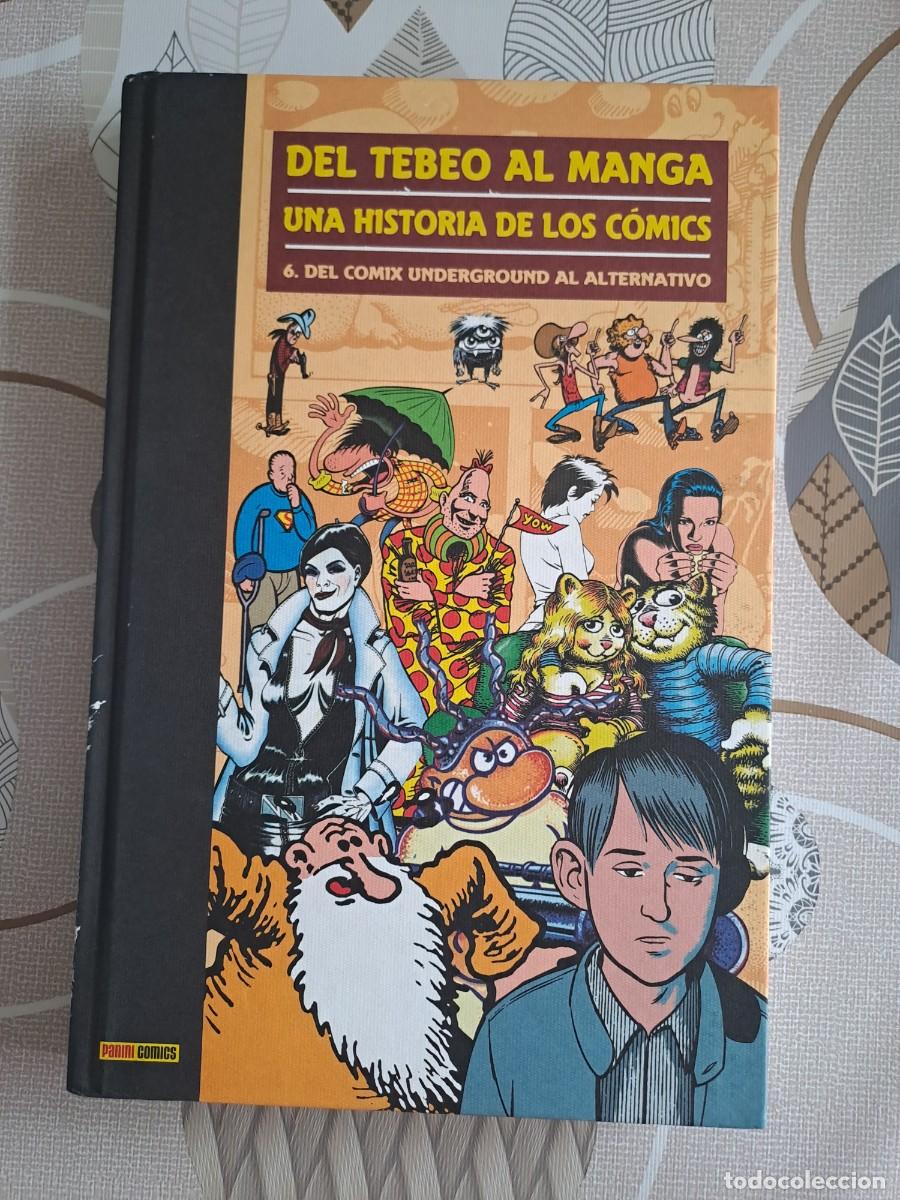 C&oacute;mics: Del tebeo al manga, una historia de los comics 6, Panini en buen estado Bolsa DA