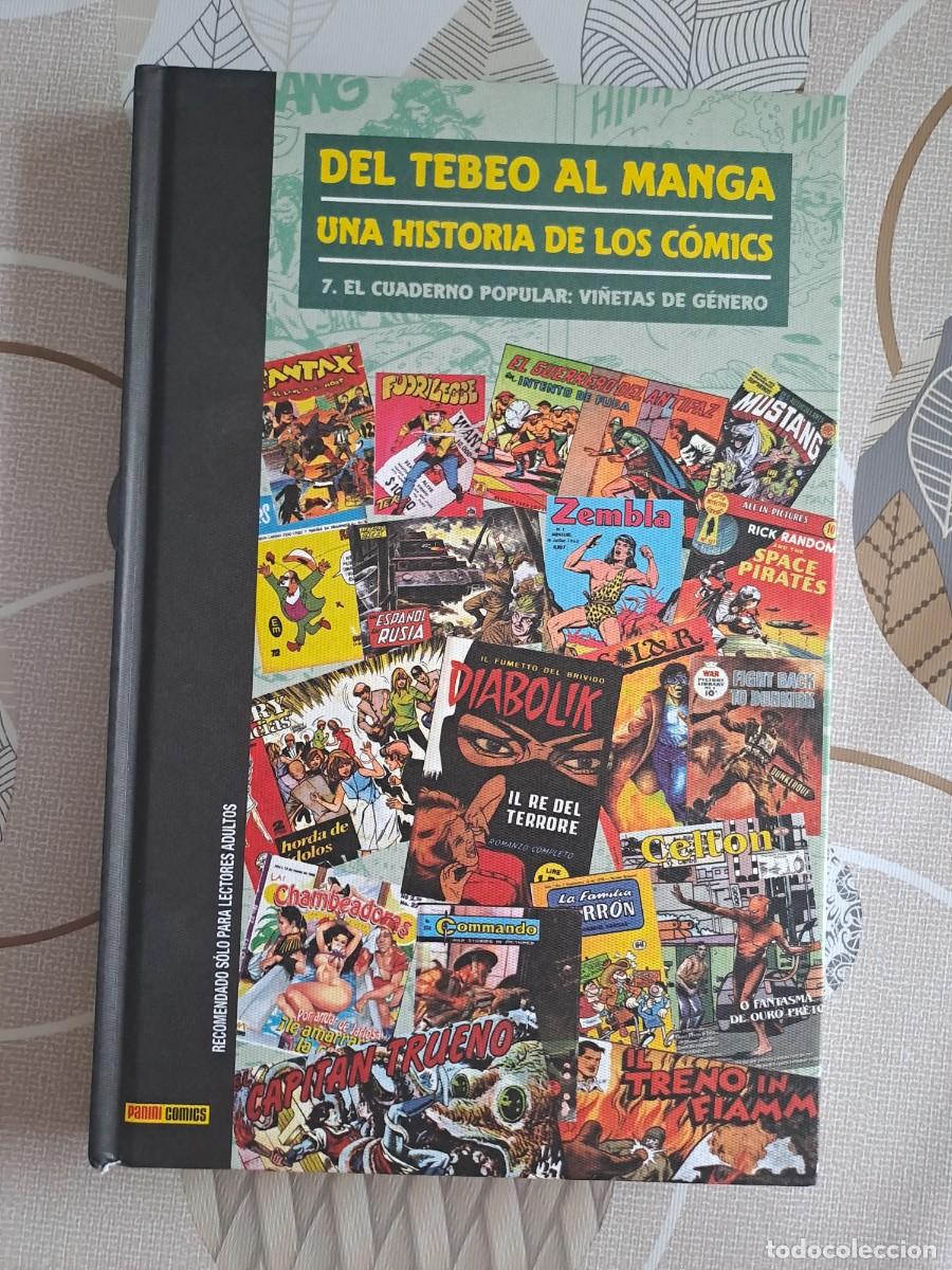 C&oacute;mics: Del tebeo al manga, una historia de los comics 7, Panini en buen estado Bolsa DA