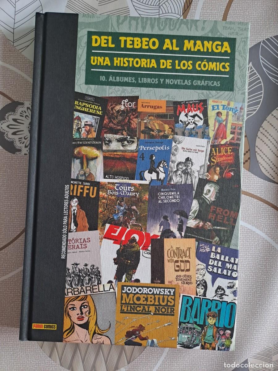 C&oacute;mics: Del tebeo al manga, una historia de los comics 10, Panini en buen estado Bolsa DA
