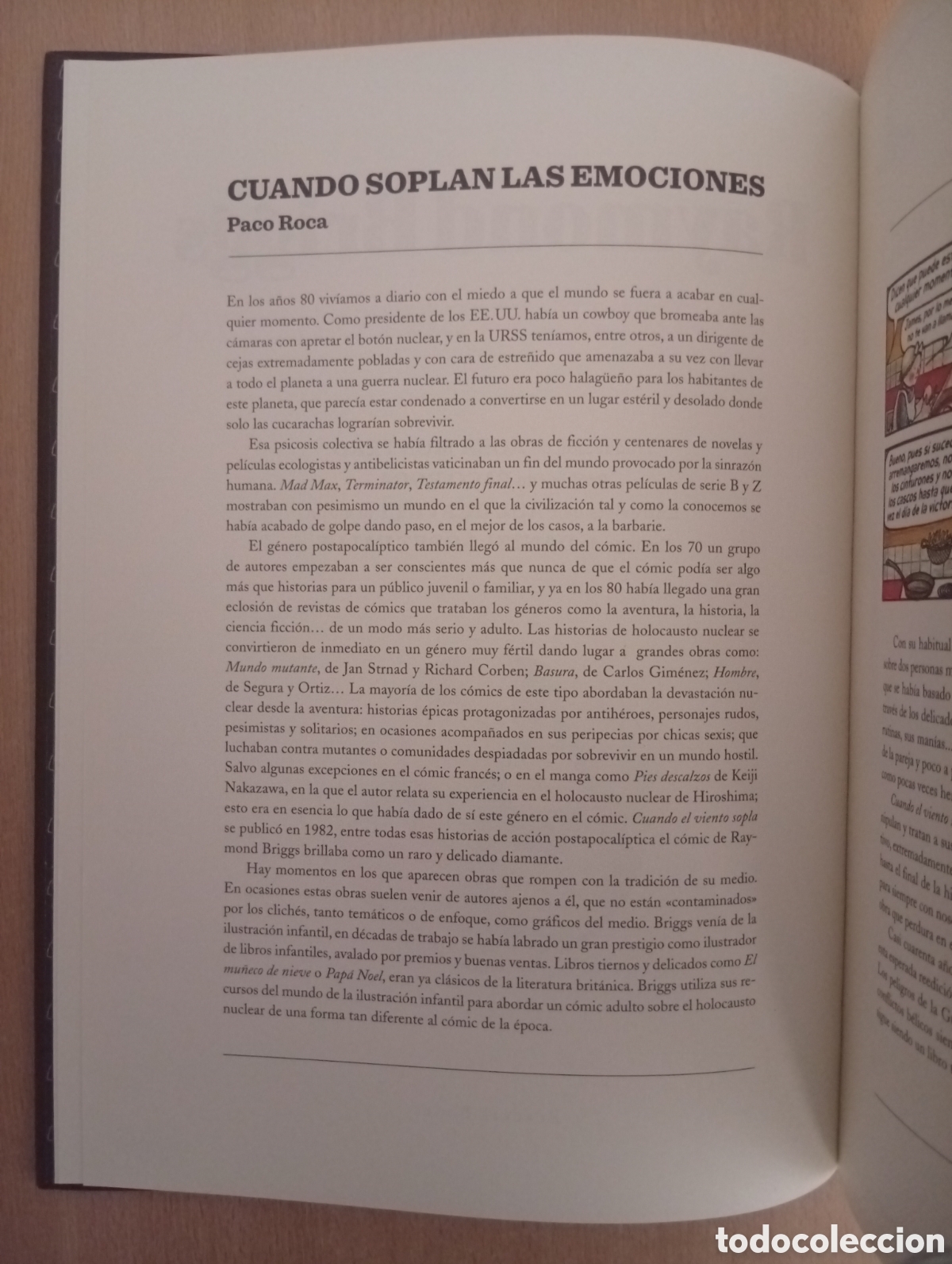 C&oacute;mics: CUANDO EL VIENTO SOPLA. Raymond Briggs. Blackie Books - Foto 4