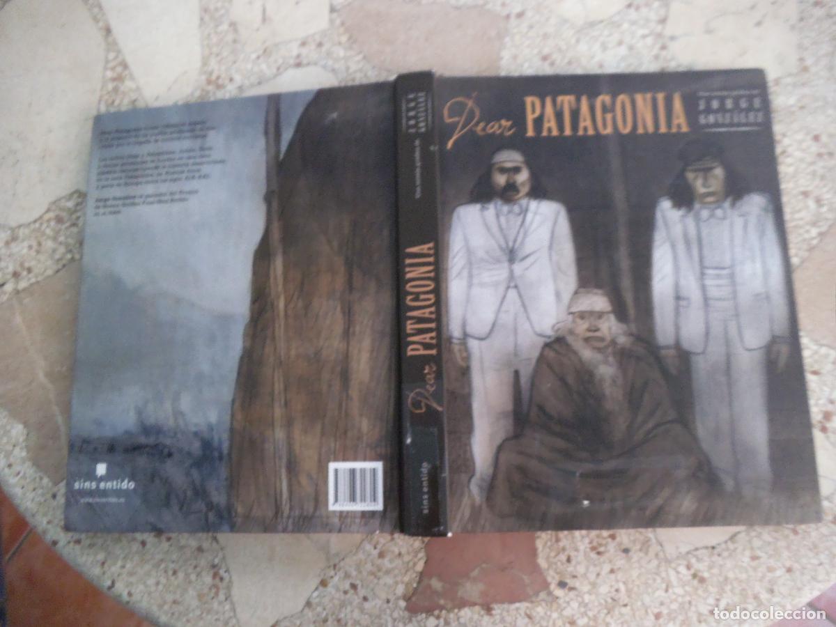 C&oacute;mics: dear patagonia ,jorge gonzalez, sins sentido,