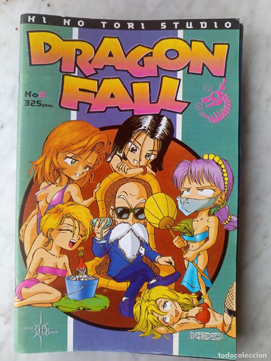 C&oacute;mics: Dragon Fall 2 hino tori studio