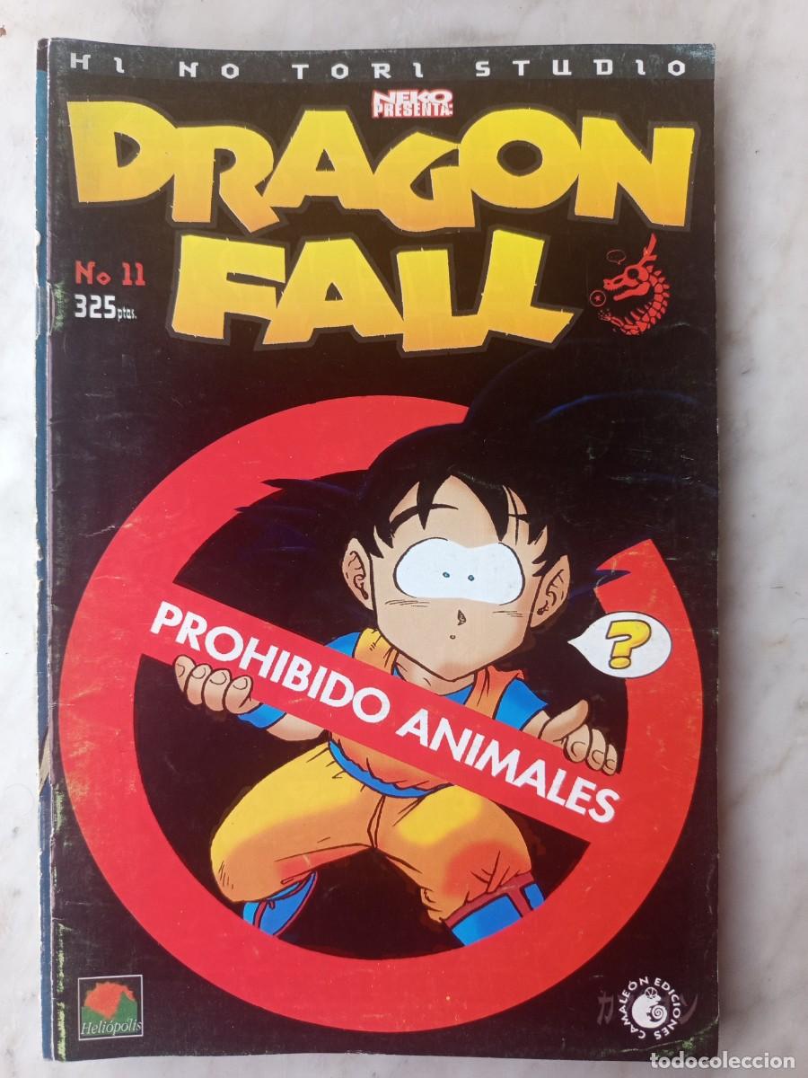C&oacute;mics: Dragon Fall 11 hino tori studio - Foto 1