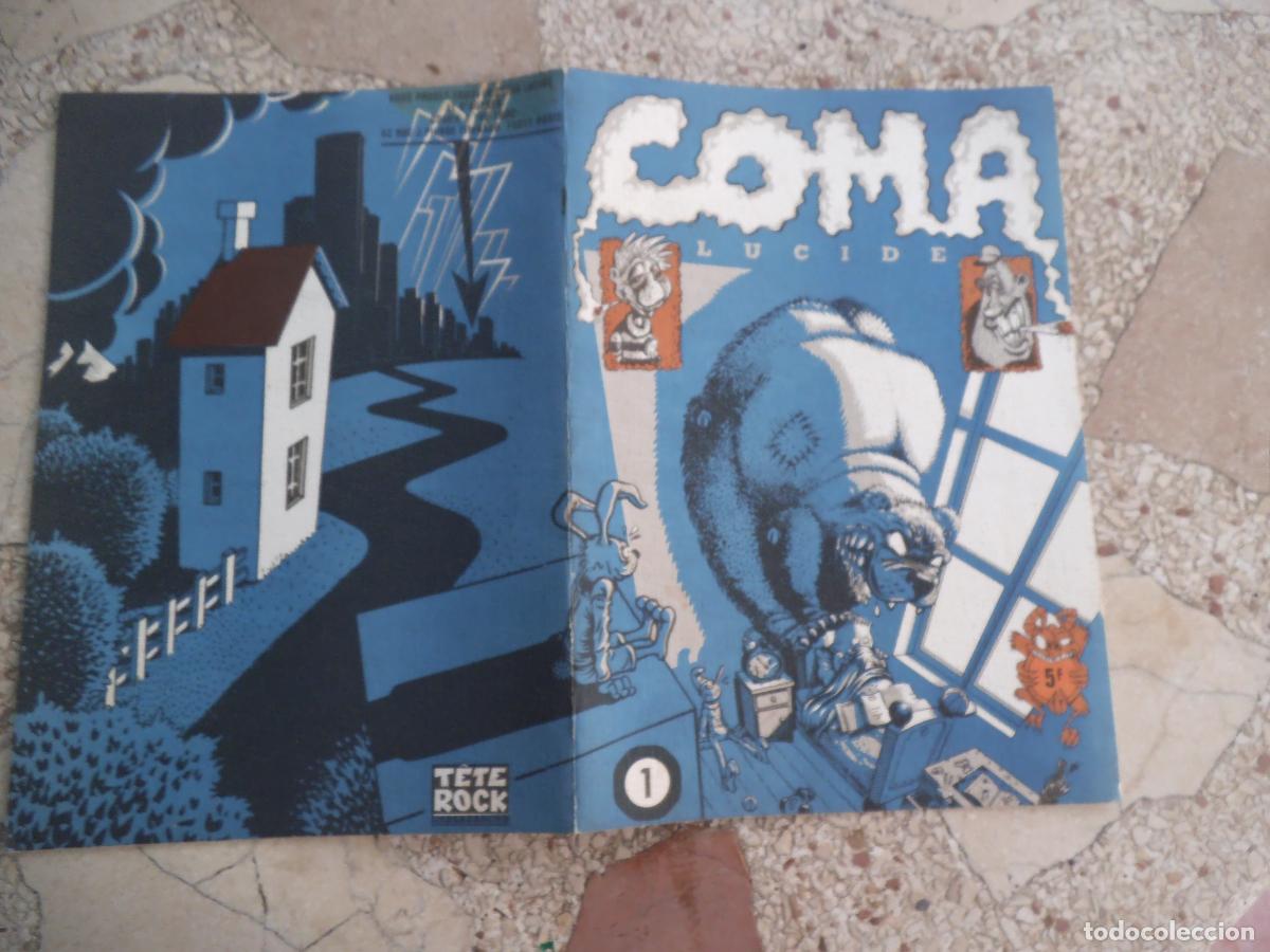 C&oacute;mics: coma ,lucide, n&ordm; 1, en frances, graines de freaks, tete rock