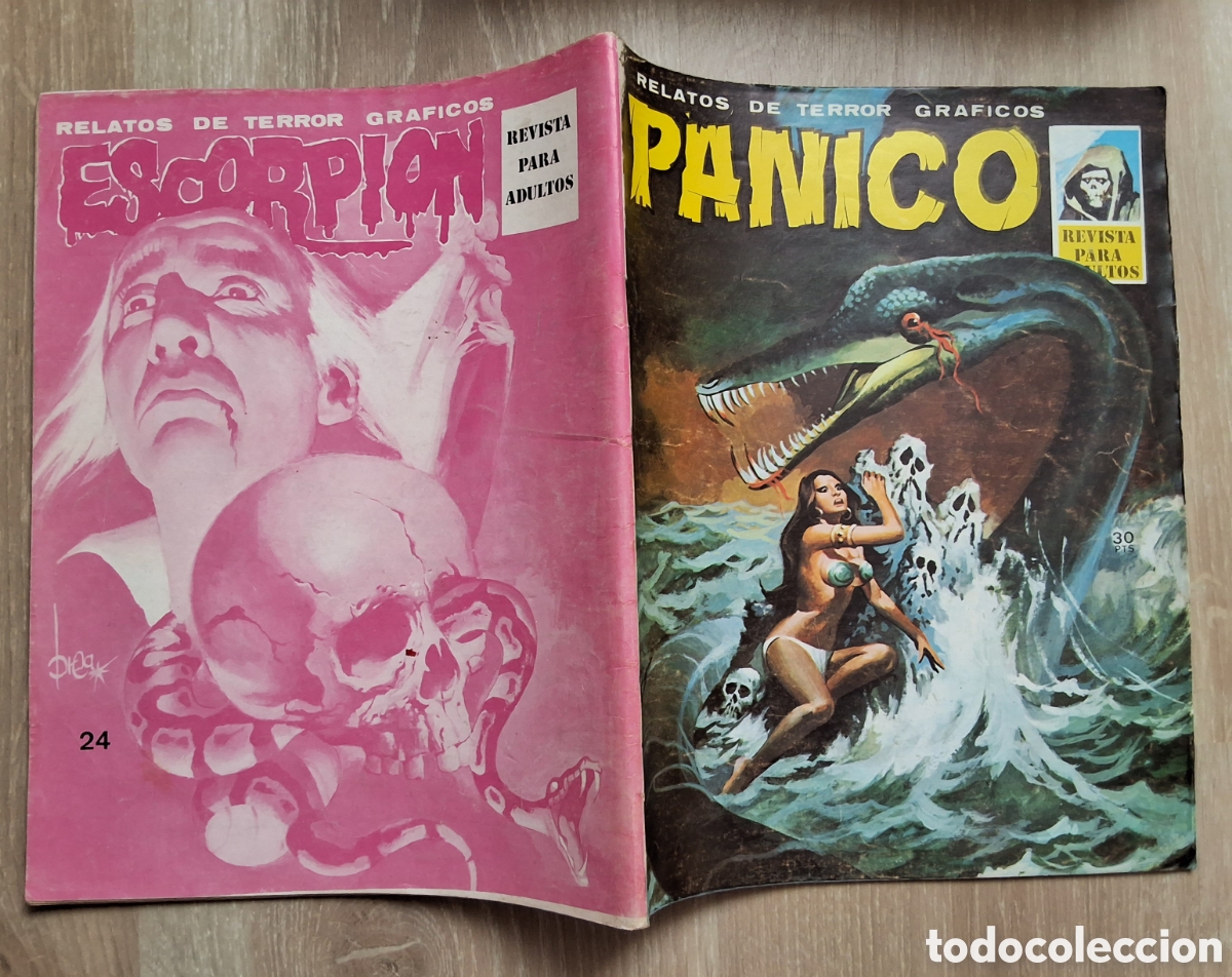 C&oacute;mics: Panico relatos de terror graficos comic n&uacute;mero 24 a&ntilde;o 1973 edita vilmar