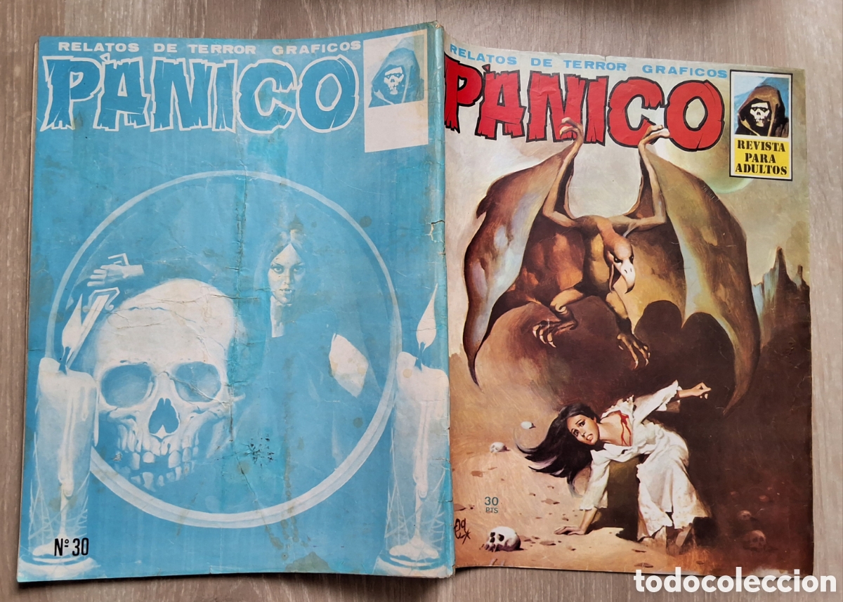 C&oacute;mics: Panico relatos de terror gr&aacute;ficos n&uacute;mero 30 a&ntilde;o 1973 edita vilmar