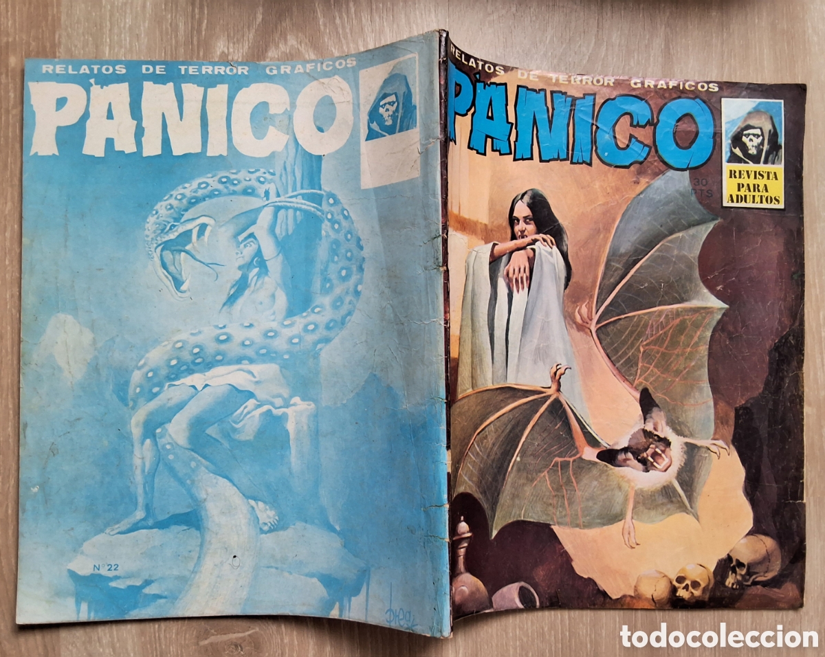 C&oacute;mics: Panico relatos de terror graficos n&uacute;mero 22 a&ntilde;o 1973 edita vilmar