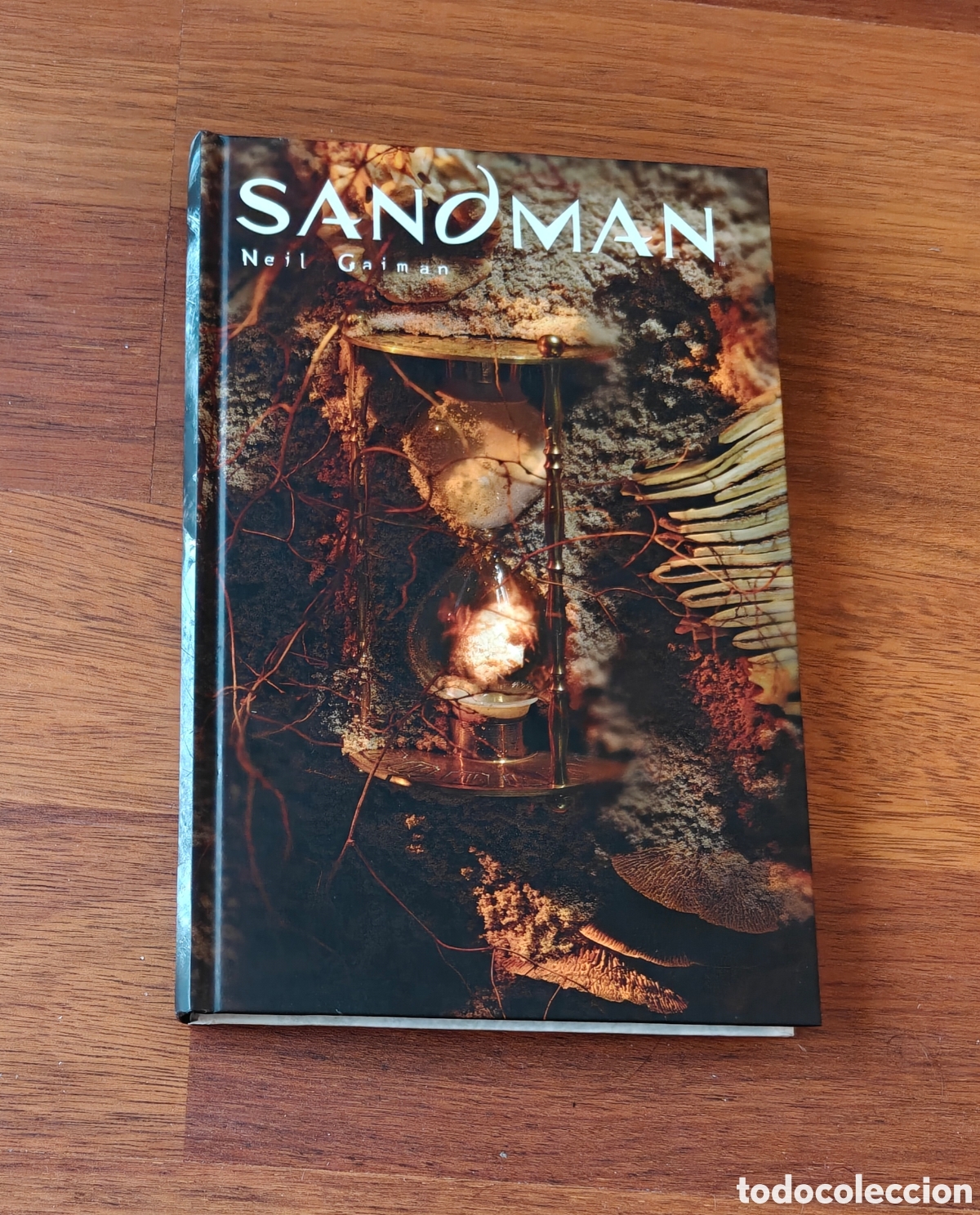 C&oacute;mics: Sandman 9. Las ben&eacute;volas. Neil Gaiman.