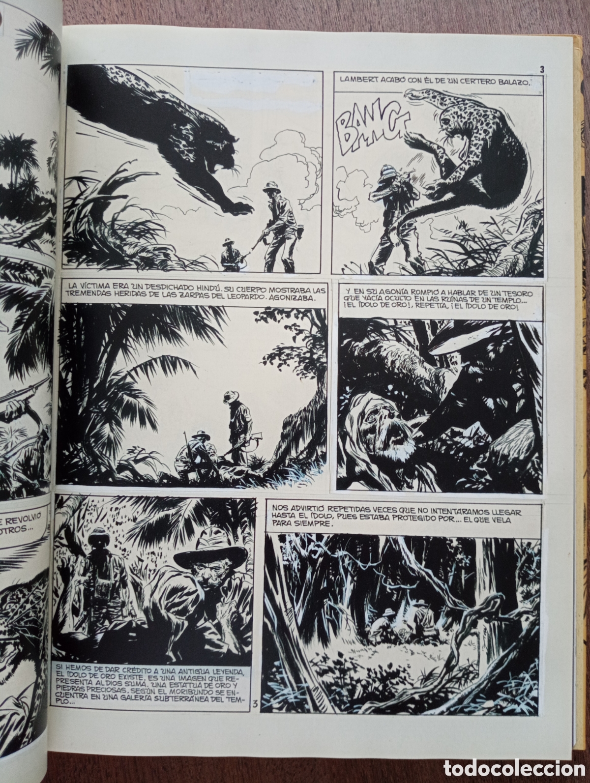 C&oacute;mics: BERNET 50 A&Ntilde;OS DE VI&Ntilde;ETAS - Foto 4