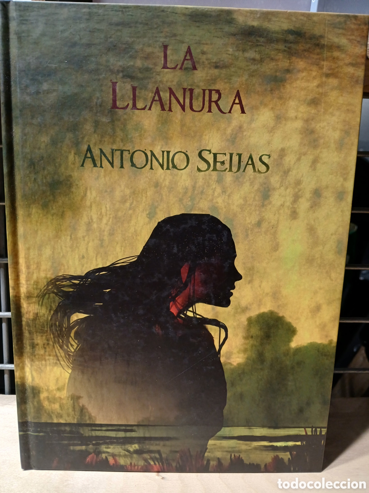 C&oacute;mics: La Llanura. Antonio Seijas. - Foto 1