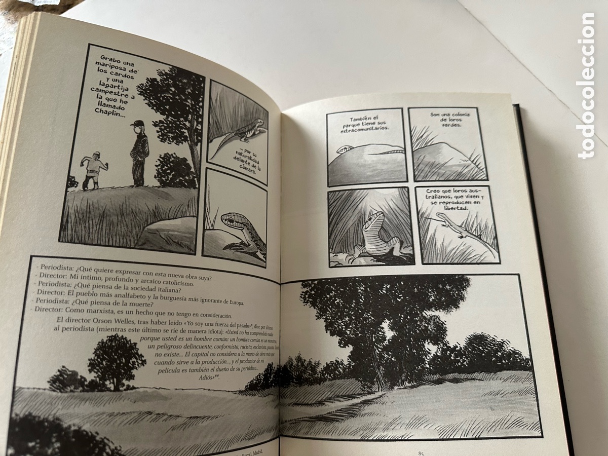 C&oacute;mics: PASOLINI (Novela gr&aacute;fica) - Davide Toffolo - 451 Editores - Foto 10
