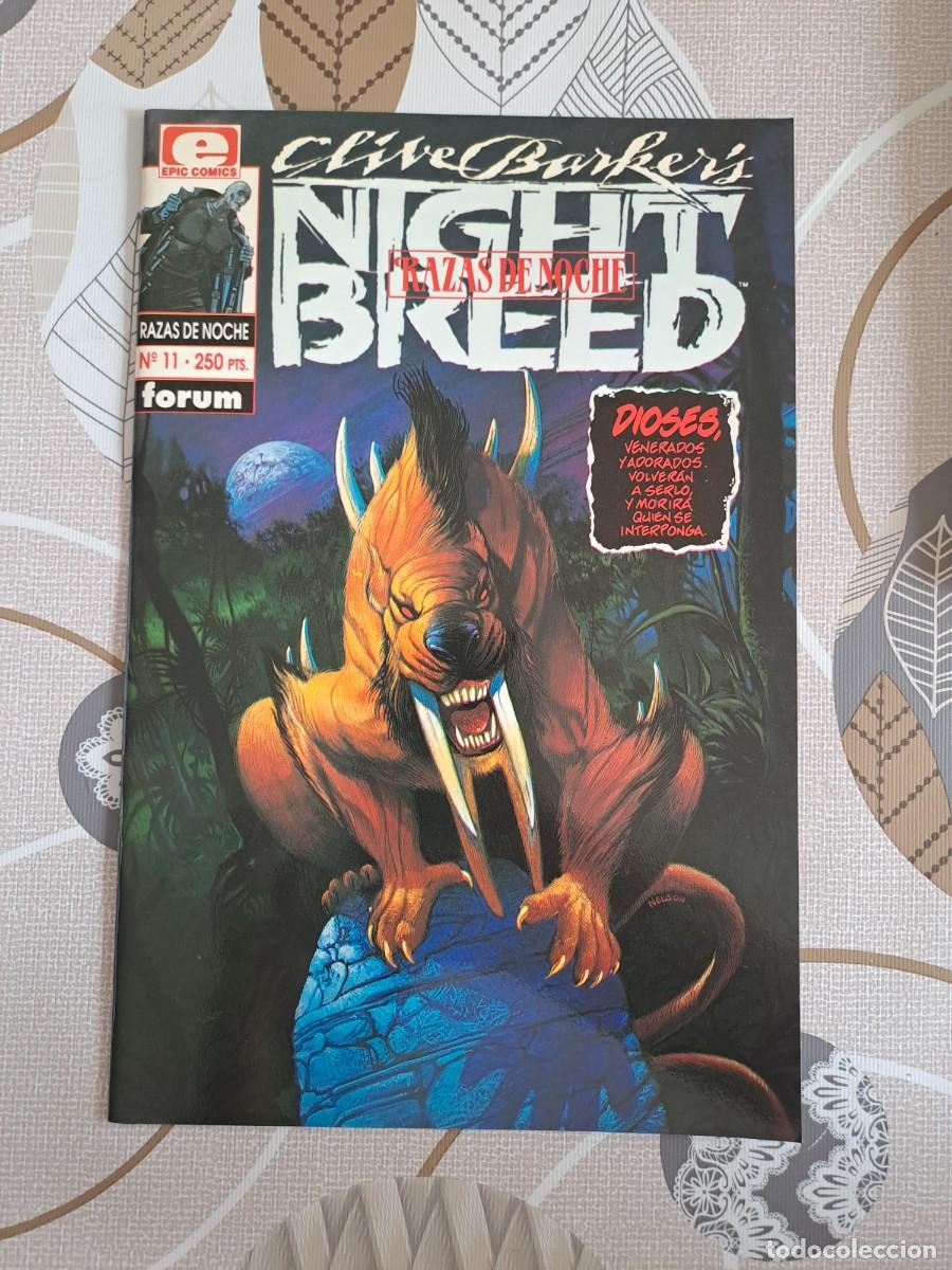 C&oacute;mics: Night breed 11, F&oacute;rum en buen estado
