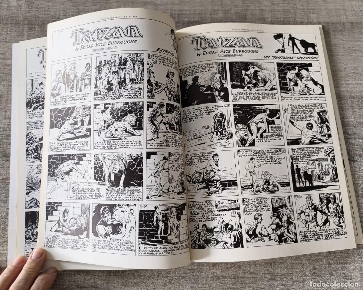 C&oacute;mics: TARZAN Harold Foster - Foto 2