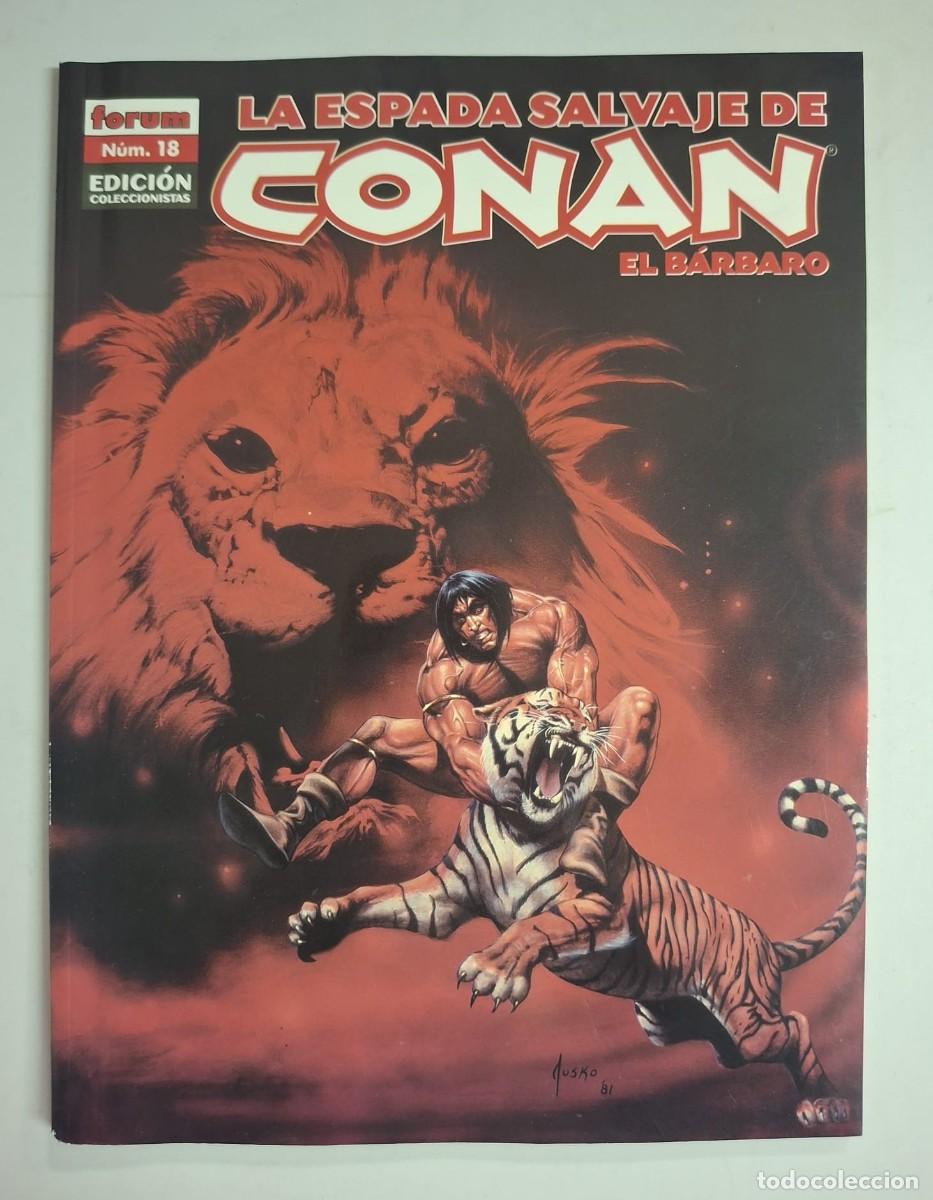 Comics: COMIC LA ESPADA SALVAJE DE CONAN NUMERO 18 EDICION COLECCIONISTA